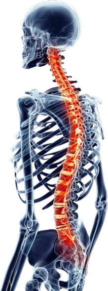 Trauma and Fracture Care