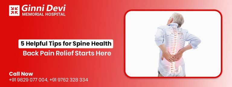 5 Helpful Tips for Spine Health – Back Pain Relief Starts Here