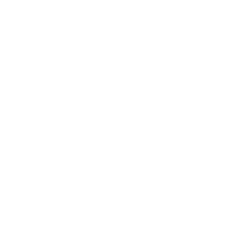 knee Icon